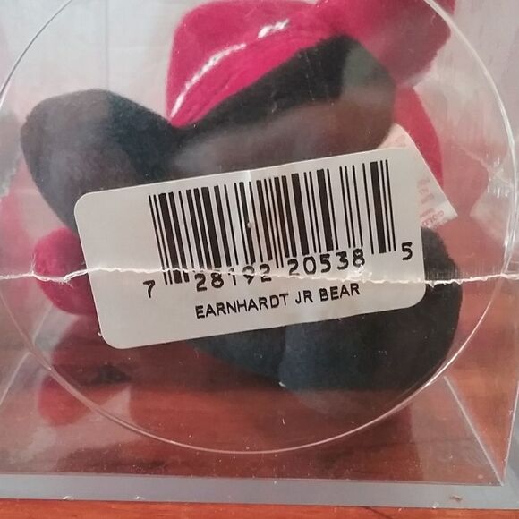 Dale Earnhardt Jr Golden Bear - Picture 4 of 5